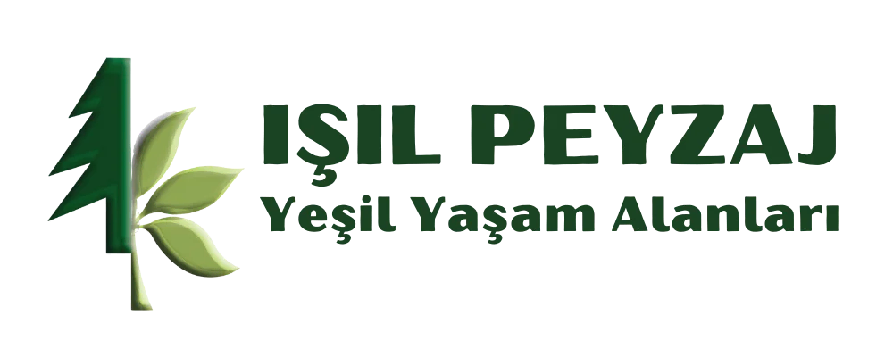 IŞIL PEYZAJ